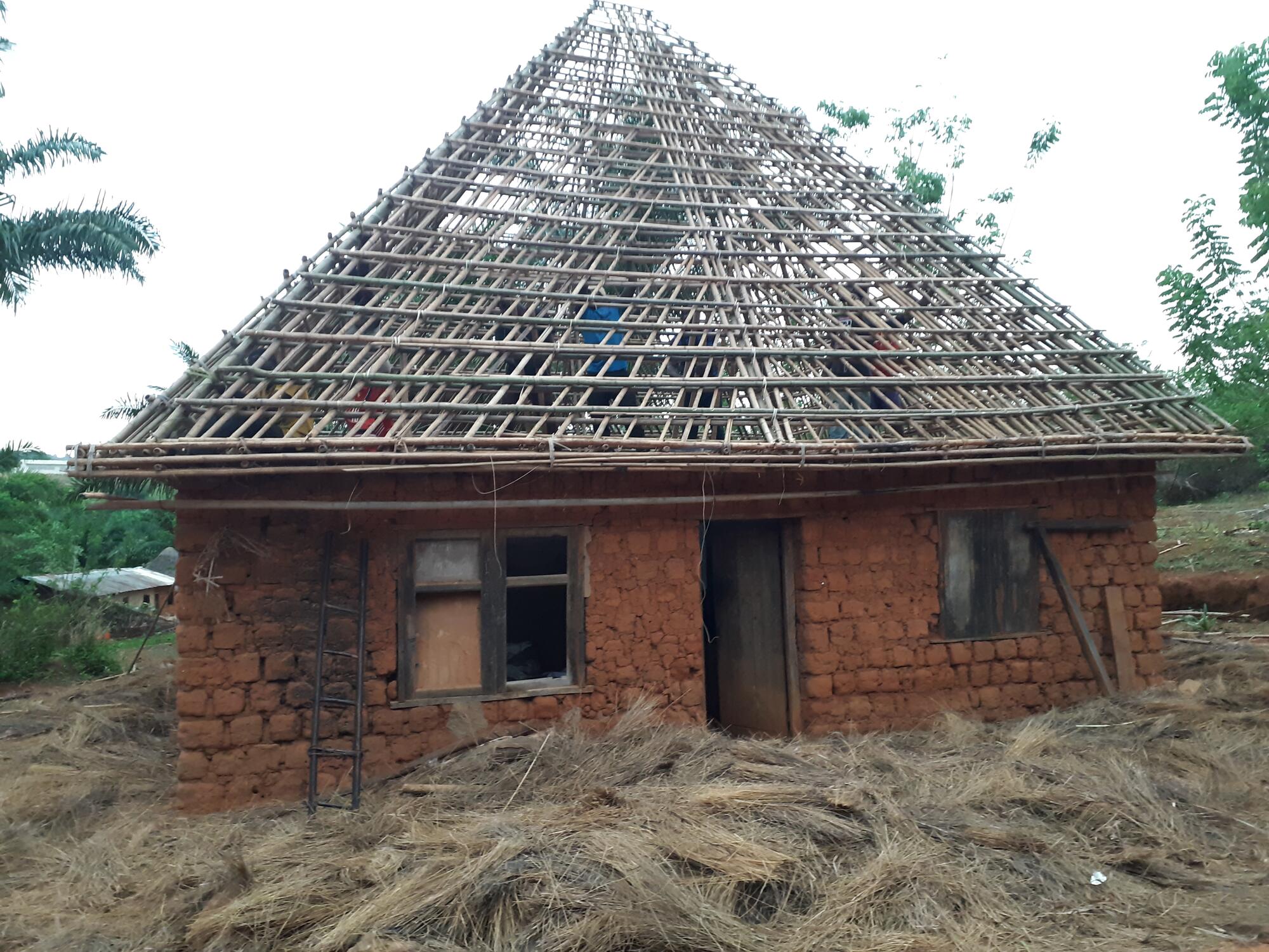 Bamboos roofed house