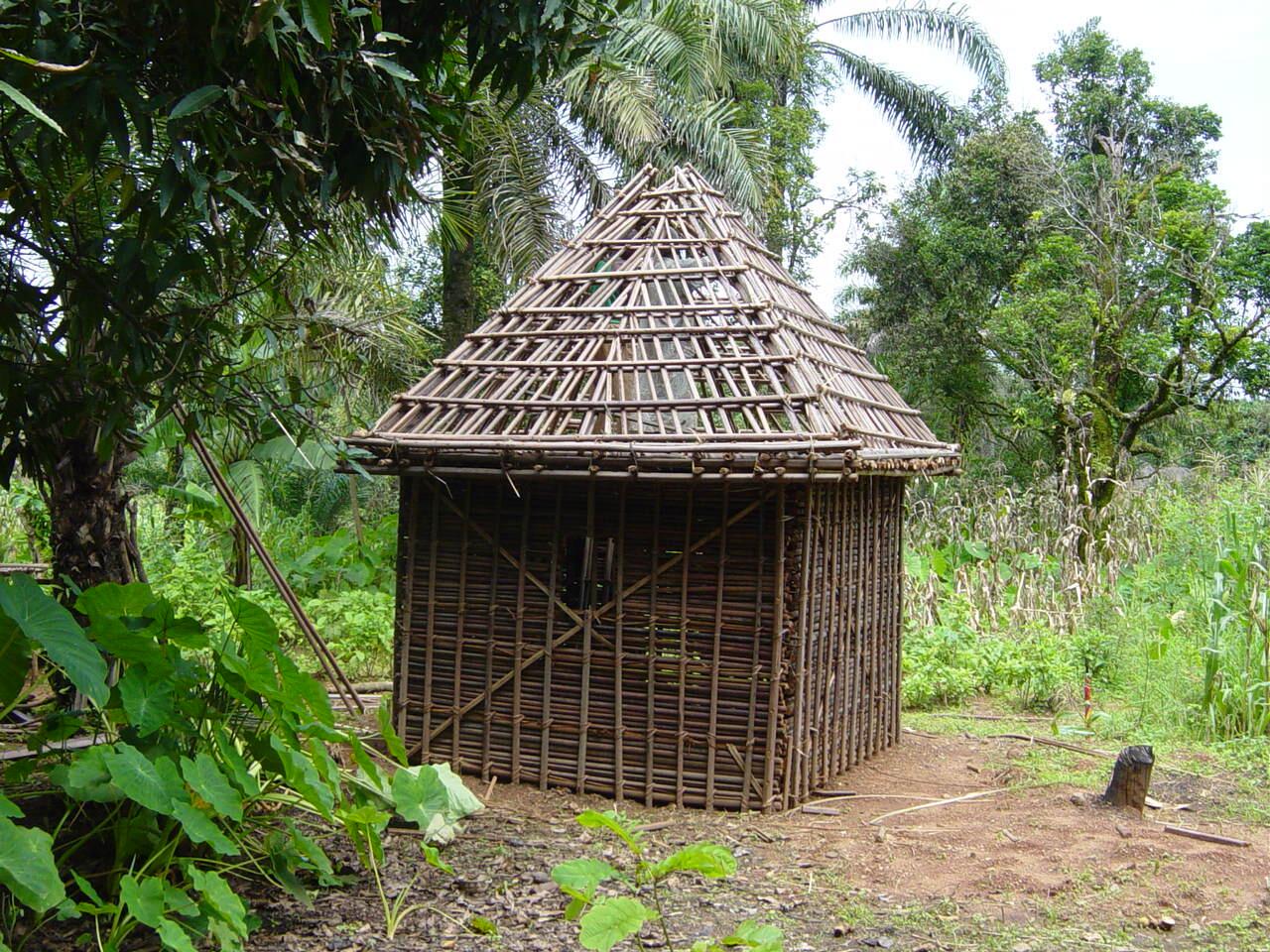 Bamboo House