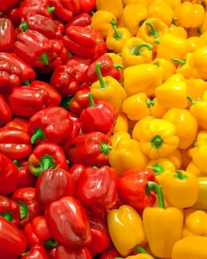 Red and yellow Pepper