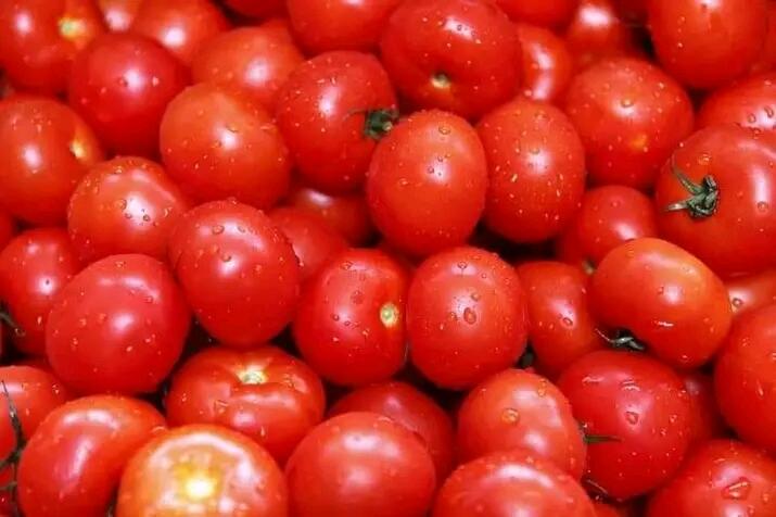 Tomatoes